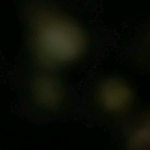 Meet your Posher, Joyce